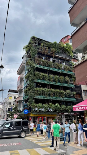Giresun merkez Gazi Caddesi'nde alışveriş ve gezi alanında bitkilerle dolu bir bina